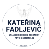 www.psychosomatik.cz